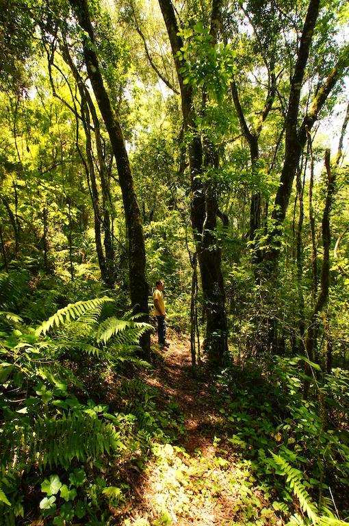 Yucuma Lodge El Soberbio Ngoại thất bức ảnh