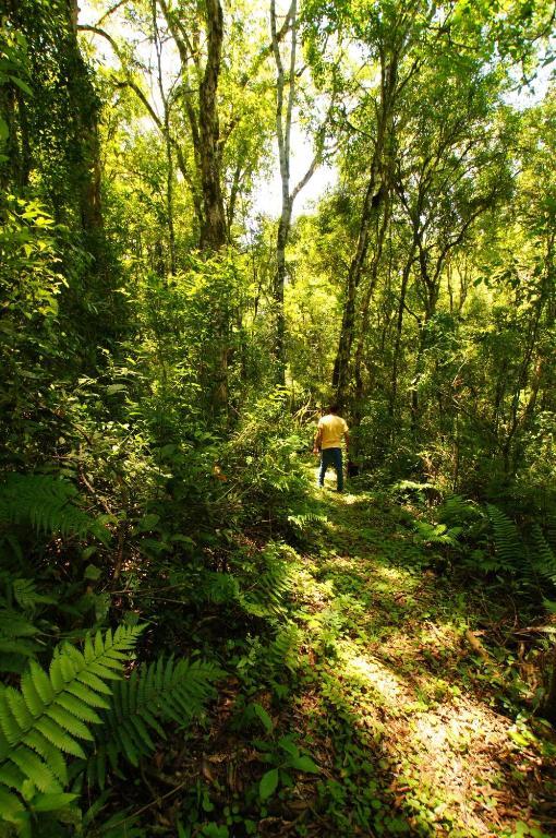 Yucuma Lodge El Soberbio Ngoại thất bức ảnh